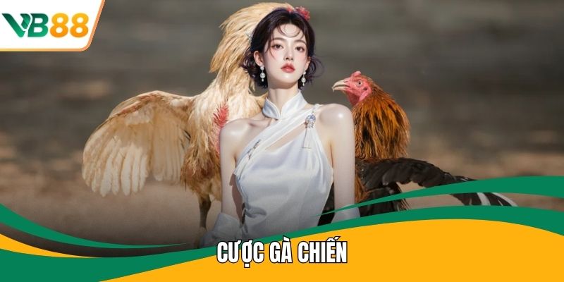 Cược Gà Chiến