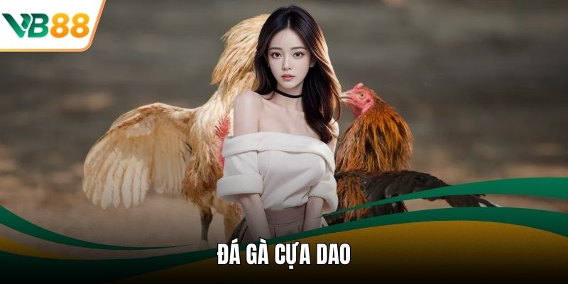 Đá Gà Cựa Dao