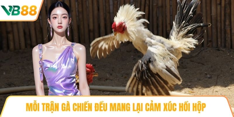 Mỗi trận Gà chiến đều mang lại cảm xúc hồi hộp 