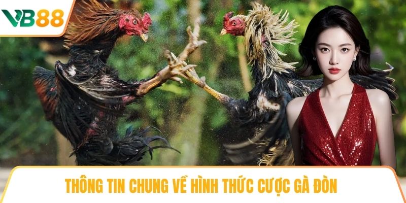 Thông tin chung về hình thức Cược gà đòn