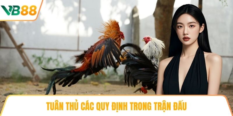 Tuân thủ các quy định trong trận đấu